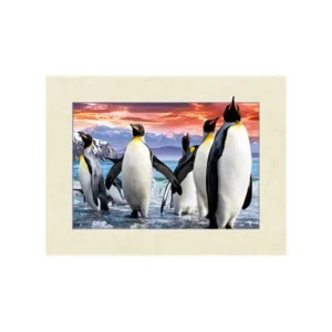 3D 5D Lenticular Poster Custom Designs with Factory