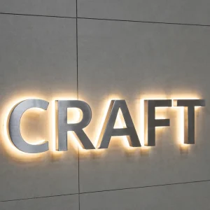 3D Acrylic Metal Halo Luminous Letters Alphabet Characters for Wedding Shops Schools Parks Plug DC