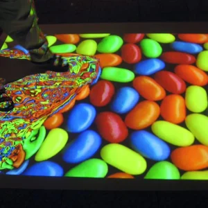 3D Hologram Interactive Floor Projection Software System Game with Water Pond Piano Football Flower Effect