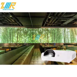 3D Holographic Projector for Restaurant