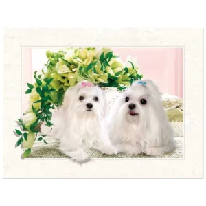 3D Lenticular Poster with Changing Images, Custom Wall Art