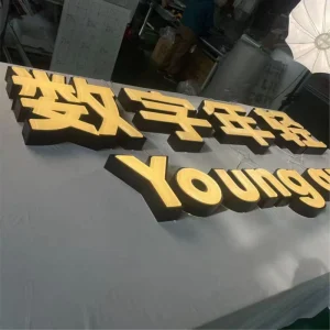 3D Luminous LED Acrylic Letter Free Design OEM ODM IP65 Waterproof Bluetooth WiFi Control Direction Front Lit
