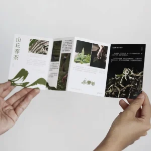 4 Fold Flyer A4 A5 A6 Fold Coated Paper Folding Leaflet Brochure