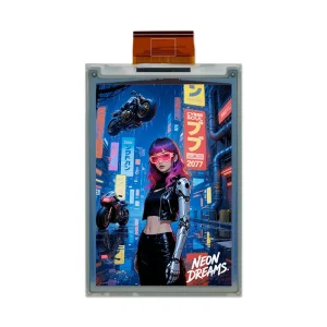 4 Inch Color E Ink Display