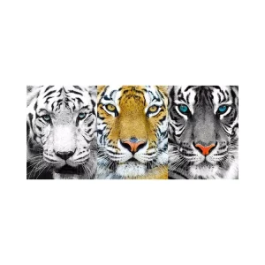 5D/3D Animal Scenery Lenticular Poster Custom Designs 100% Factory Price