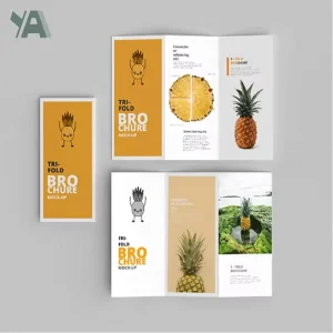 A3 A4 A5 Waterproof Business Flyers Product Description Custom Printing Instruction User Manual for Mp4 Player