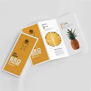 A6 Leaflet Booklet Glossy Cardboard A4 A5 Brochure Pamphlets Flyer