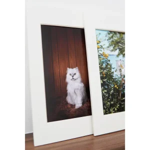 Acid Free Giclee Poster Framed Decorative Painting Ink Printed Illustration Art Celeb Book Paper & Paperboard Printing Product