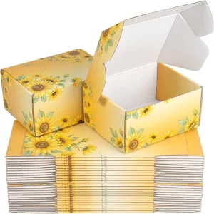 Aircraft style Corrugated Mailing Color Paper Boxes Coating Full color Printing Both Sides High Strength Custom Shape Magnetic