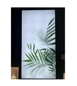 Aluminum LED Backlit Plant Picture Light Box Advertising Signage Fabric Light Boxes