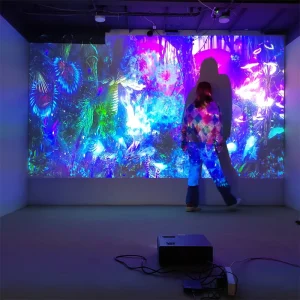 Android Version DefiLabs High-tech Interactive Floor/wall Projection System for Wedding Prices