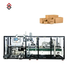 Automatic Digital Case Packer Motor for Food Chemical Packaging Unpacking Labeling Coating Inserting Leaflet Wood YTJ800
