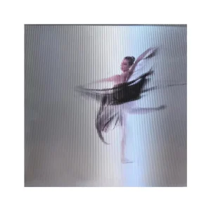 BIGIMAGE Custom Lenticular Painting Creative UV Digital Printing Animation Motion Picture Crafts Advertising Decoration Gift