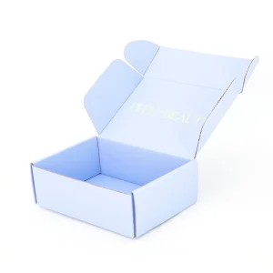 Blue Printing Logo Design Custom Packaging Shipping Corrugated Mailer Box Kraft Paper for Cosmetic