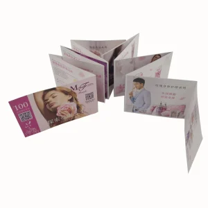 Brochure Flyer Leaflet Fold Booklet Custom Paper Offset Printing 4-color Paper & Paperboard 120*80