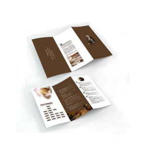 Brochure Printing Design Services for Trifold Z Fold Custom Foldable Map Slit Flyers Booklets Offset Printed Duplex