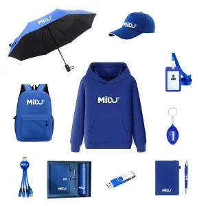 Bulk Order Customized Logo Promotional Gifts Branded Marketing Campaign Gifts Election Campaign Gift Products