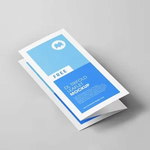 Bulk Printing Color Pages Single Pages A3 Folding Custom A4 Corporate Folding Brochures and Flyers