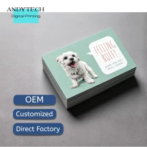 Business Cards Custom Digital Printing Service Mass Print Stickers Cards for Jewelry Packaging Hair Clips Showroom