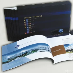 CMYK Paper OEM Design Customized Printing Brochures Manual Catalog Printing Flyer