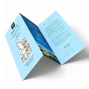 China A5 Size Flyer Print A4 Three Fold Leaflet Printing for Your New Products