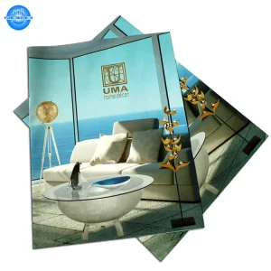 China Factory Custom Flyer Colour Print Folded Flyer Printing