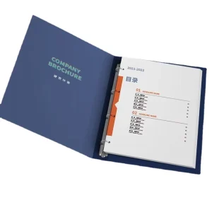 China Printing Company Professional Custom Promotional Flyer Pamphlet Leaflets Product Catalog Printing Services