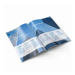 Color Brochure and Manual Printing Machine