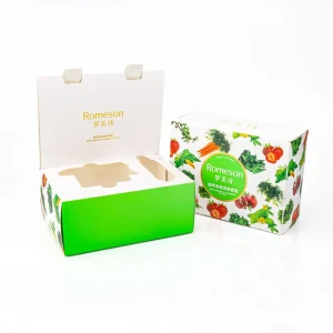 Colorful Fruit & Vegetable Pattern Cosmetic Box White Base Green Gradient Design for Facial Care Kit Factory