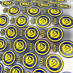 Custom 3D Raised Effect Silicone Heat Transfer Vinyl Logo Garment Screen Printing