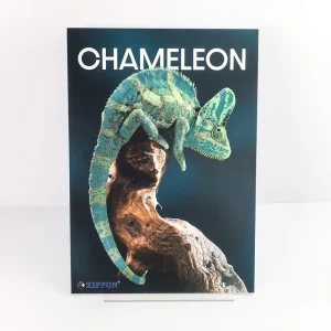 Custom 3D Relief Art Print Chameleon Lenticular Effect Exhibition Advertising Poster Board Display