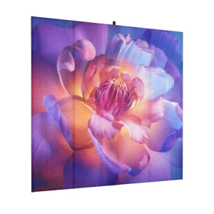 Custom 3D Transparent Wall Mounted LED Advertising Display With 8K Resolution And 6 Year Warranty For Indoor Use