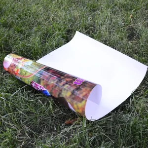Custom A0 A1 A2 A3 A4 Large Waterproof PP Self Adhesive Digital Printing Eco Friendly Wall Posters 3*4 Poster Printing