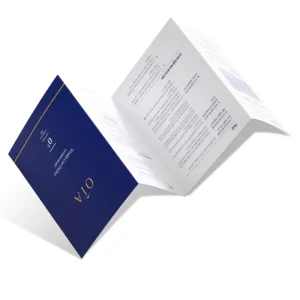 Custom A3 A4 Design Printing Service Fold Brochure Catalog Product Specification Cosmetic Product Coated Paper Flyer