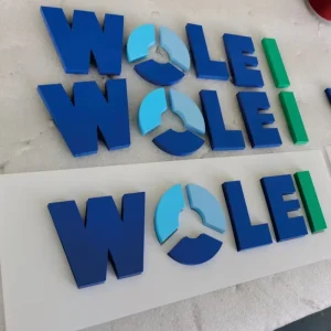 Custom Acrylic Letters Metal Logo Signs 3D Wall Signs