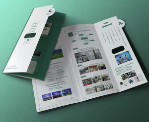 Custom Advertising Leaflets & Flyers for Business