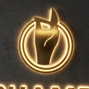 Custom Backlit Logo Sign for Flagship Store and Art Gallery Decoration