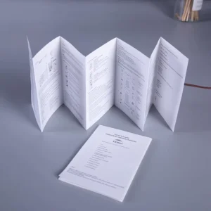 Custom Booklet Furniture Flyer Brochure Catalogue Printing Services Manual Product Description Business Flyers
