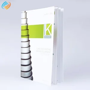 Custom Catalogue Print Brochure of Company Introduction Profile Manual Printing Services