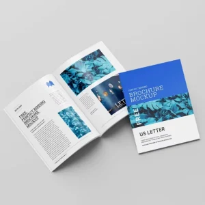 Custom Color Printing Booklet Catalog Brochure Softcover Offset Paper Cardboard CMYK Color Print on Demand