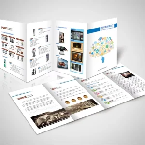 Custom Company Brochure, Book and Leaflet Digital and Color Offset Printing