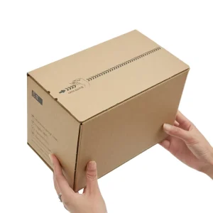 Custom Corrugated Cardboard Gift Box Self-Sealing Mailer with Tear Strip Print Logo for Beauty Apparel Merchandise Packaging