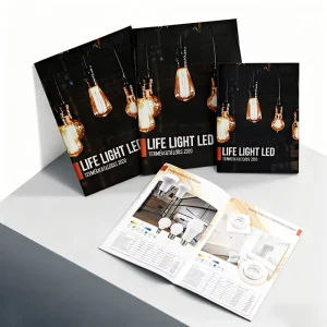 Custom Design Brochures Printing Leaflets Flyers Manuals Catalogs User Guides Booklets Commercial Printing Printing