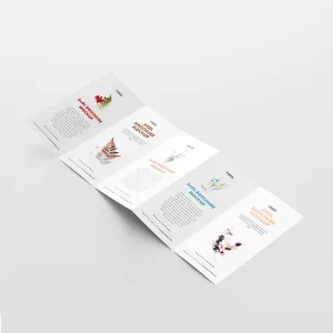 Custom Design Laminated Business Trifold Flyers Pamphlet Catalogue Booklet Magazine Printing Service