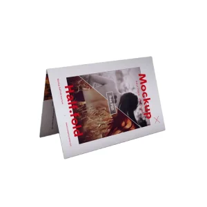 Custom Design Leaflet Brochure Printing Flyer Pamphlet Offset Printing Flyers Booklet Brochure