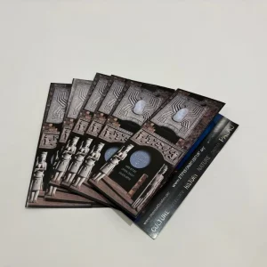 Custom Double Sided Business Brochure Printing with Professional Leaflet Flyer and Booklet Design Services for Advertising