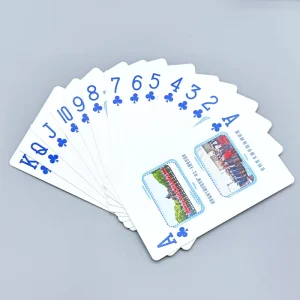 Custom Fitness Japanese Nude Girl Affirmation Cards, Business Card Print Flash Cards on Cardboard Paper