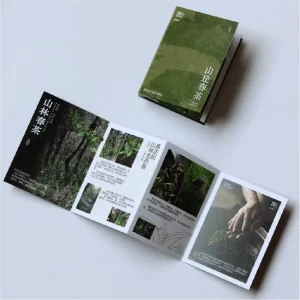 Custom Folded Brochure Design – Folded Catalogs, Manuals, Leaflets, Menus & Conference Booklets