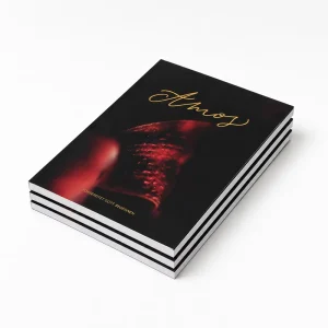 Custom Full Color Art Book Printing High Quality Art Paper Perfect Binding Gold Stamping Photo Magazine For Exhibition