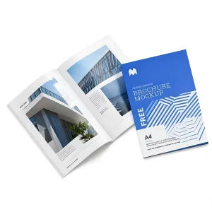 Custom Full-Color Booklet Advertising Brochure Magazine Product Catalog Printing